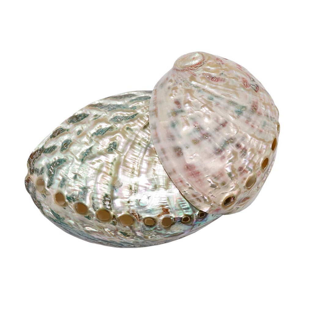 Abalone Shell & Wood Tripod Stand Natural Smudge Bowls