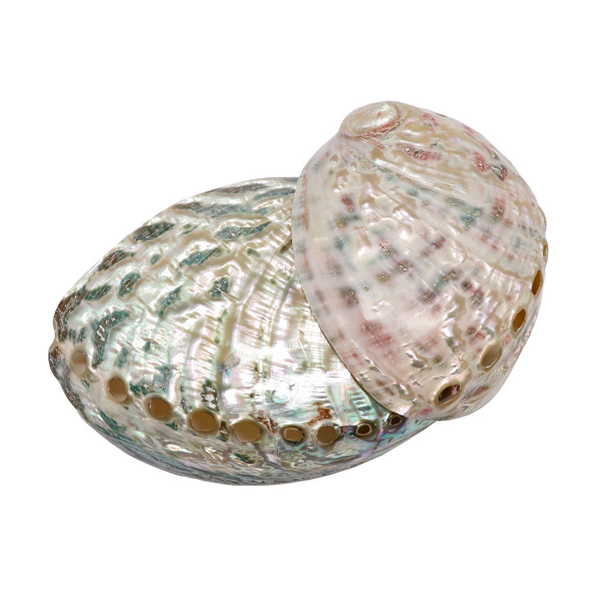 Abalone Shell & Wood Tripod Stand Natural Smudge Bowls