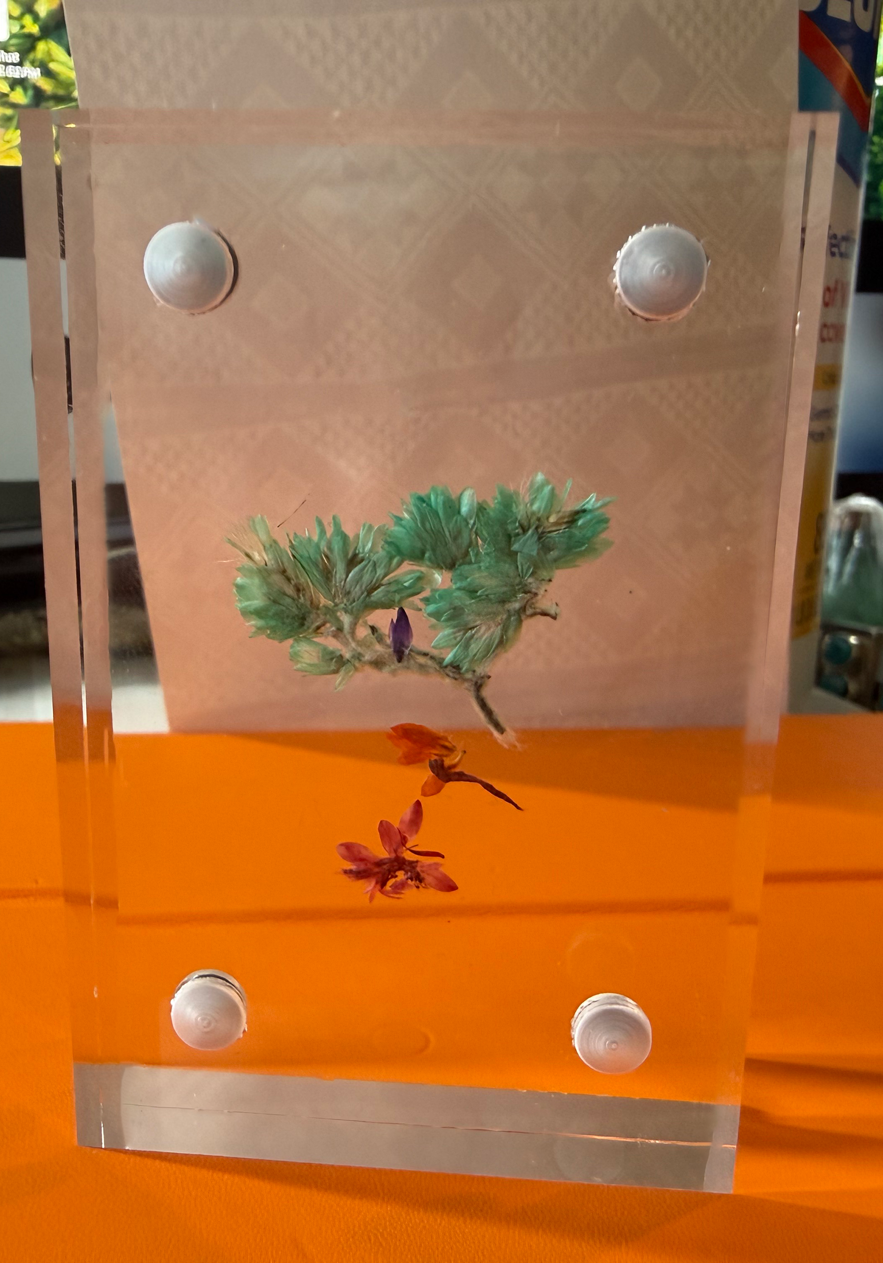 Acrylic Floating Frames