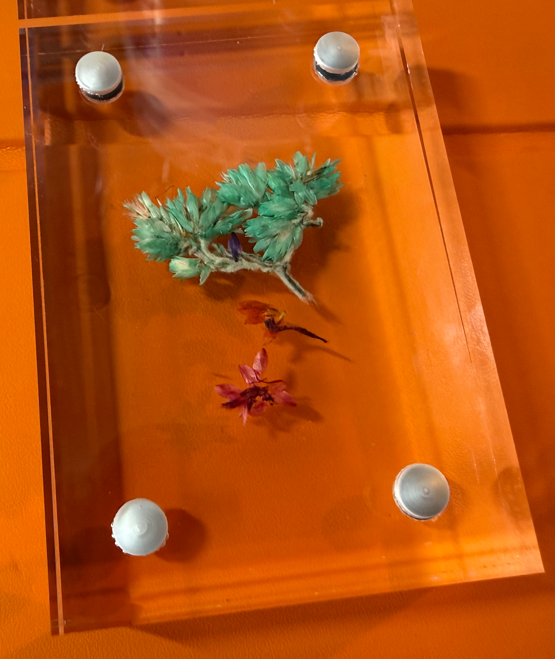Acrylic Floating Frames