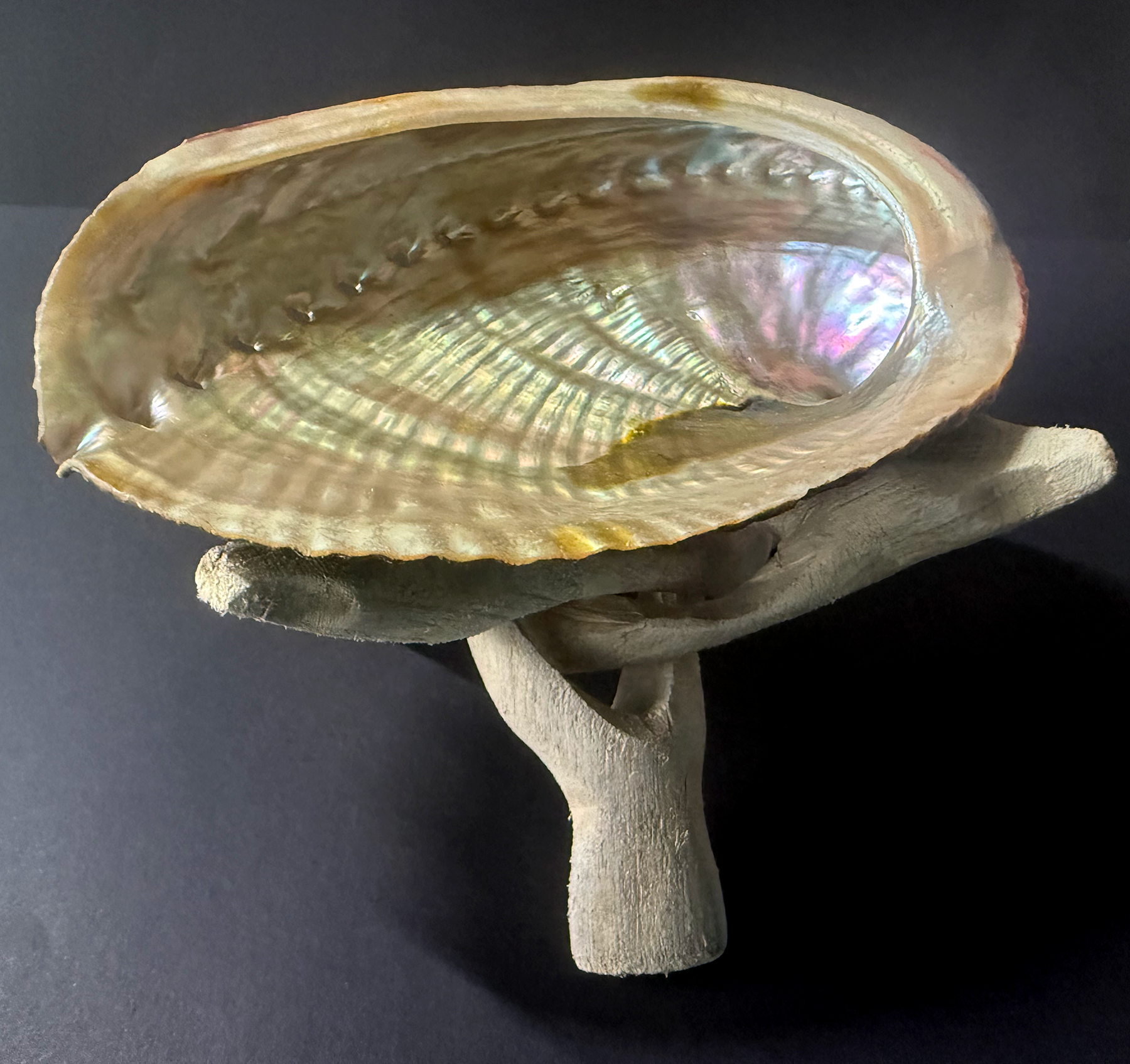 Abalone Shell & Wood Tripod Stand Natural Smudge Bowls