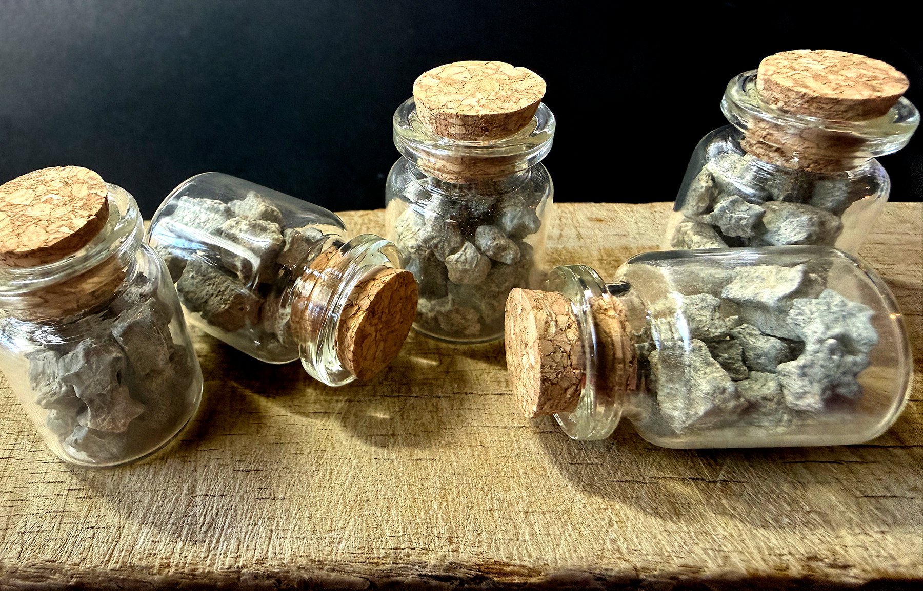 Crinoids - A Jar of Shooting Stars! 5ml jars