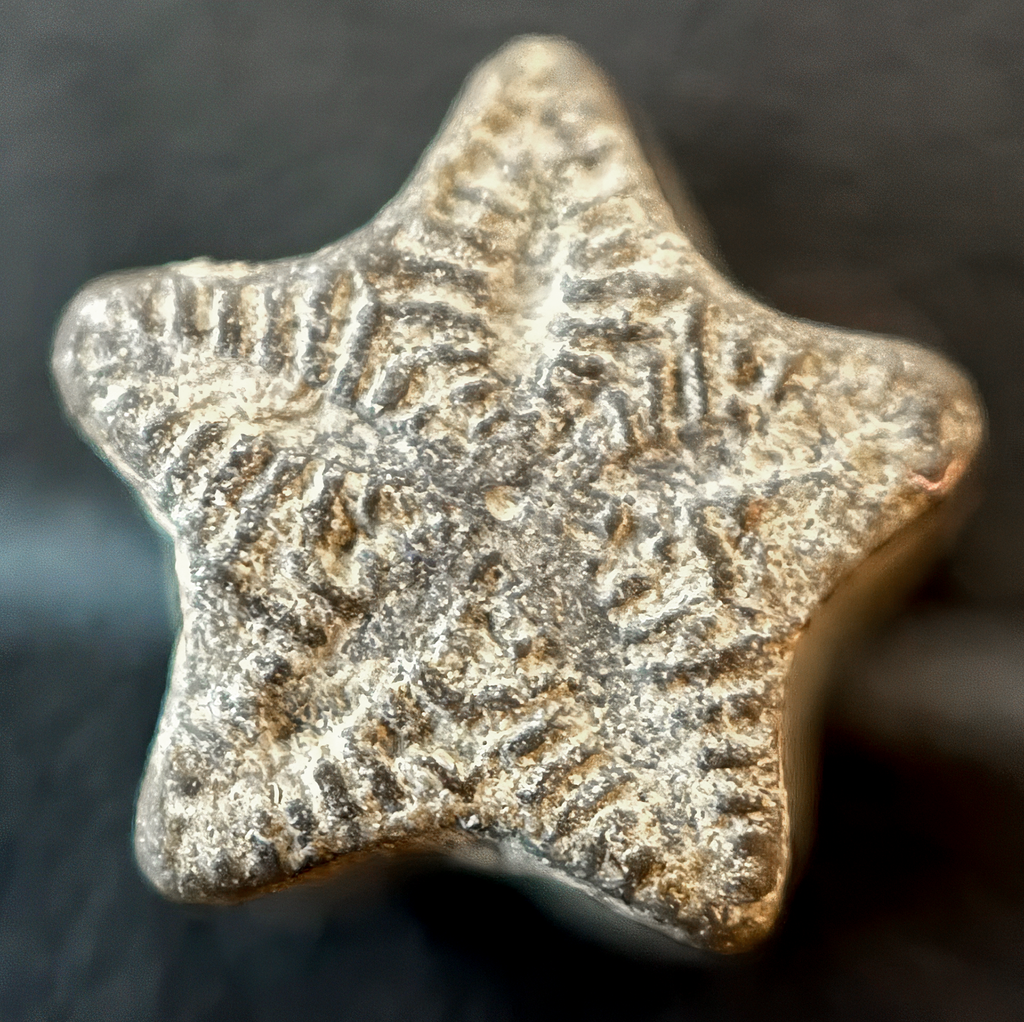 Crinoids - A Jar of Shooting Stars! 5ml jars