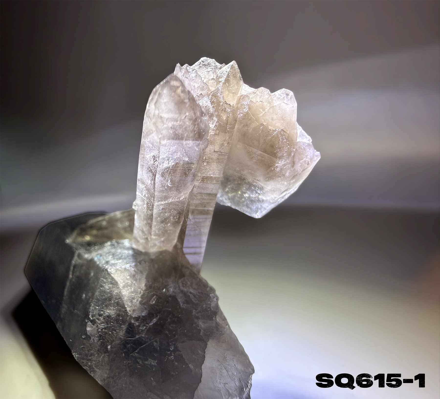 Smoky Quartz Clusters Trio in Display Box SQ615-1