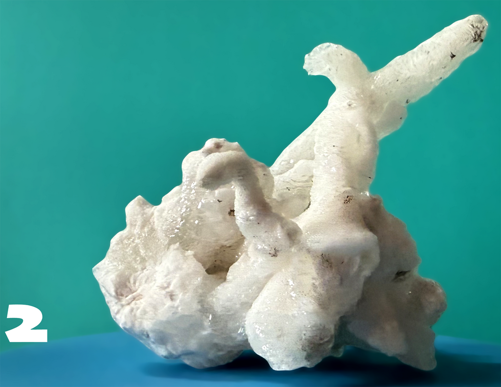 Flos Ferri Aragonite (calcite) from Santa Eulalia District (Chihuahua, Mexico)