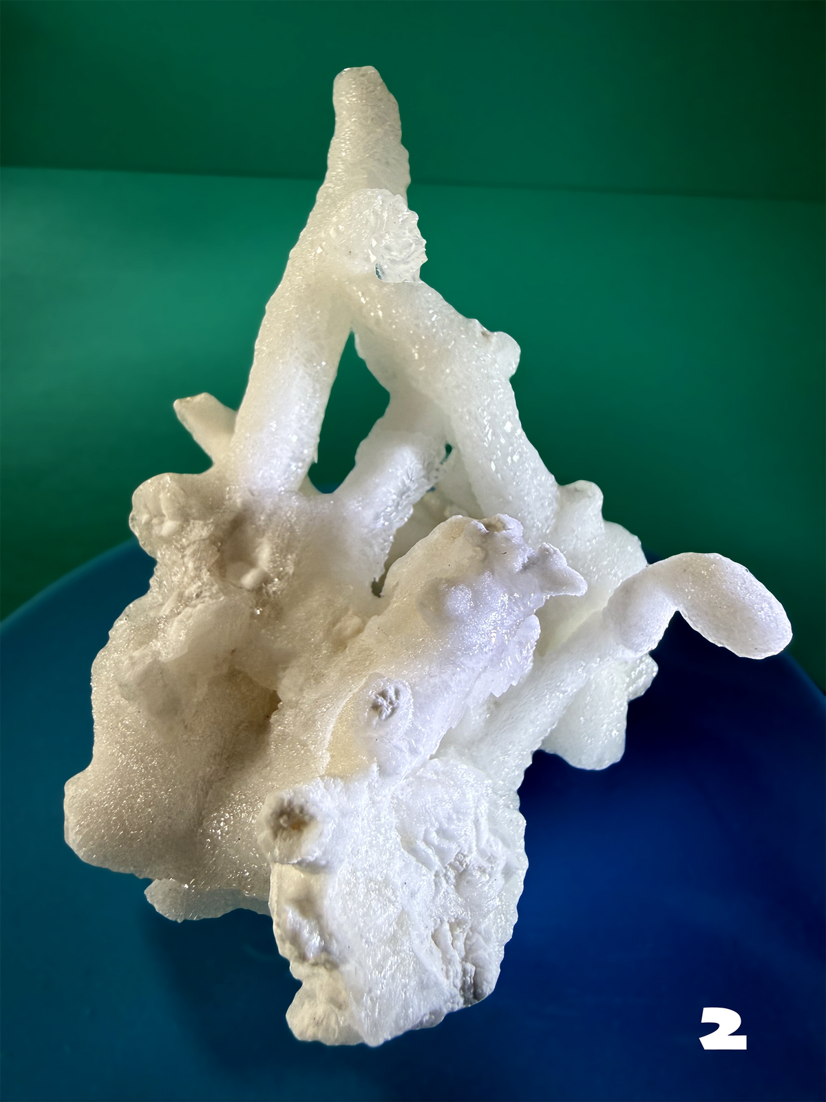 Flos Ferri Aragonite (calcite) from Santa Eulalia District (Chihuahua, Mexico)