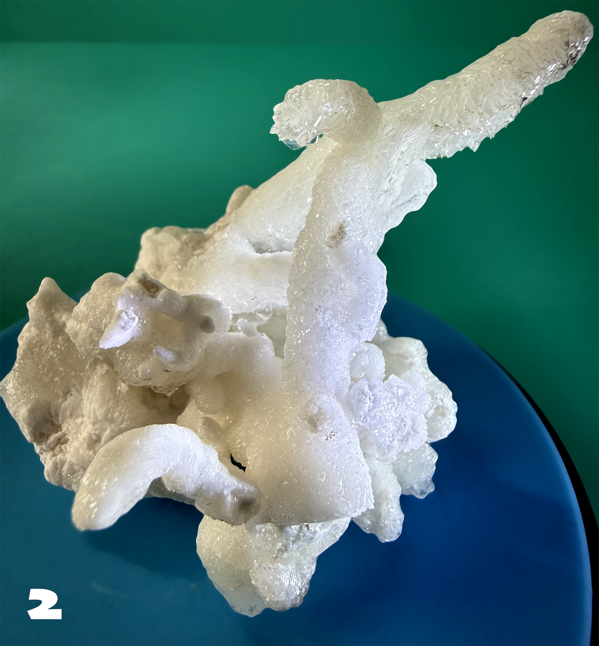 Flos Ferri Aragonite (calcite) from Santa Eulalia District (Chihuahua, Mexico)