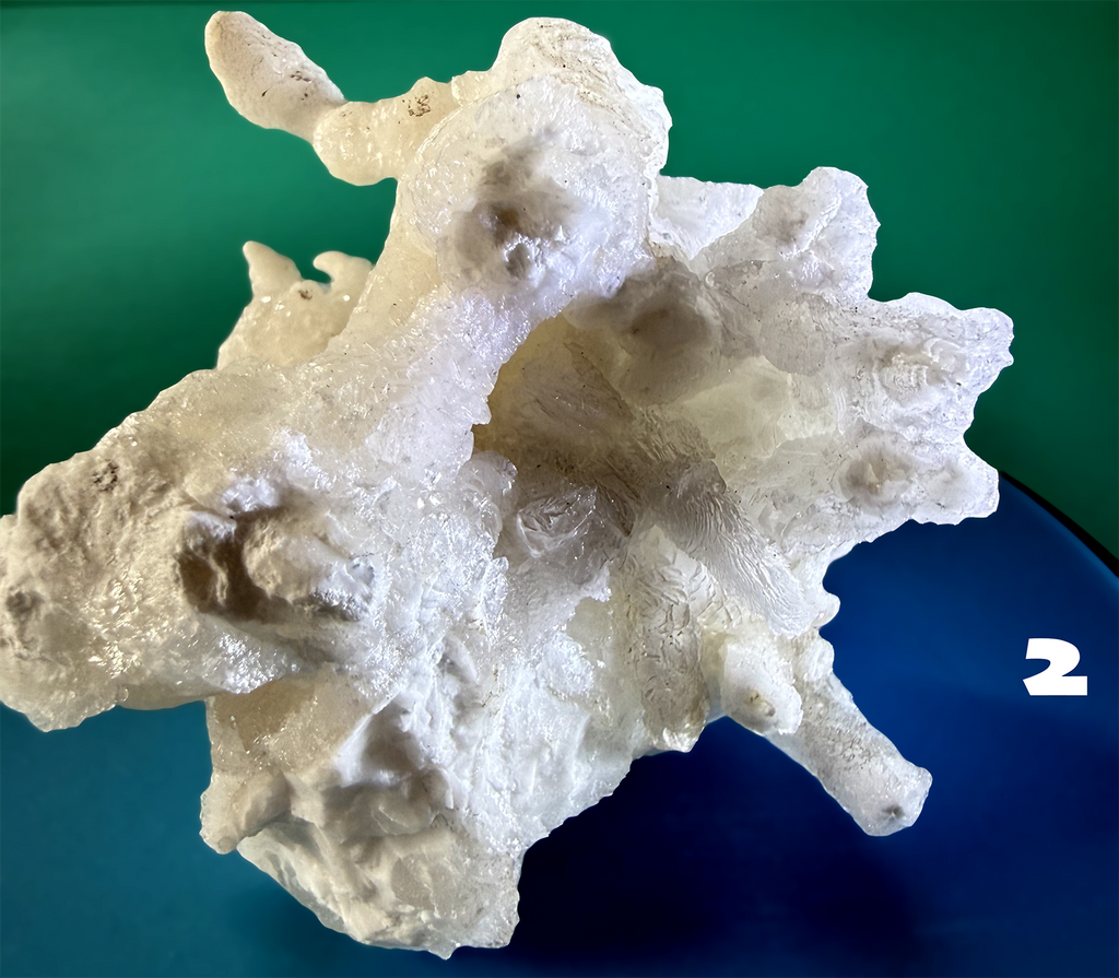 Flos Ferri Aragonite (calcite) from Santa Eulalia District (Chihuahua, Mexico)