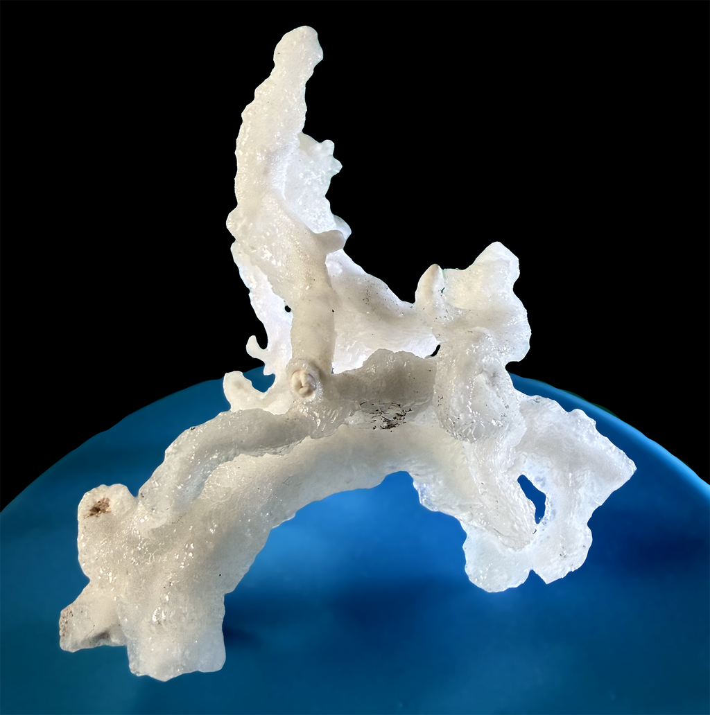 Flos Ferri Aragonite (calcite) from Santa Eulalia District (Chihuahua, Mexico)
