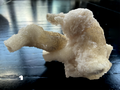 Flos Ferri Aragonite (calcite) from Santa Eulalia District (Chihuahua, Mexico)
