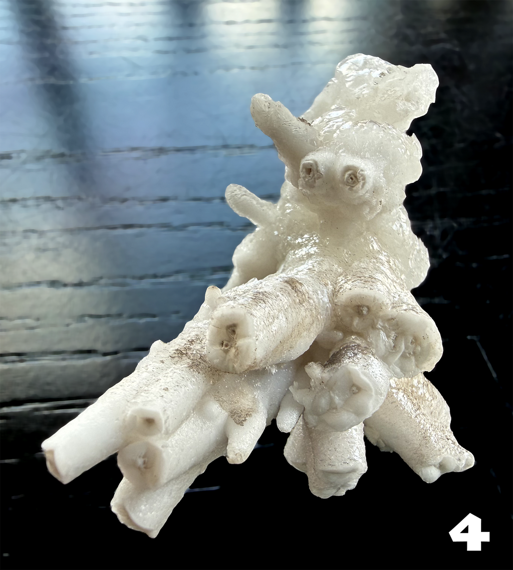 Flos Ferri Aragonite (calcite) from Santa Eulalia District (Chihuahua, Mexico)