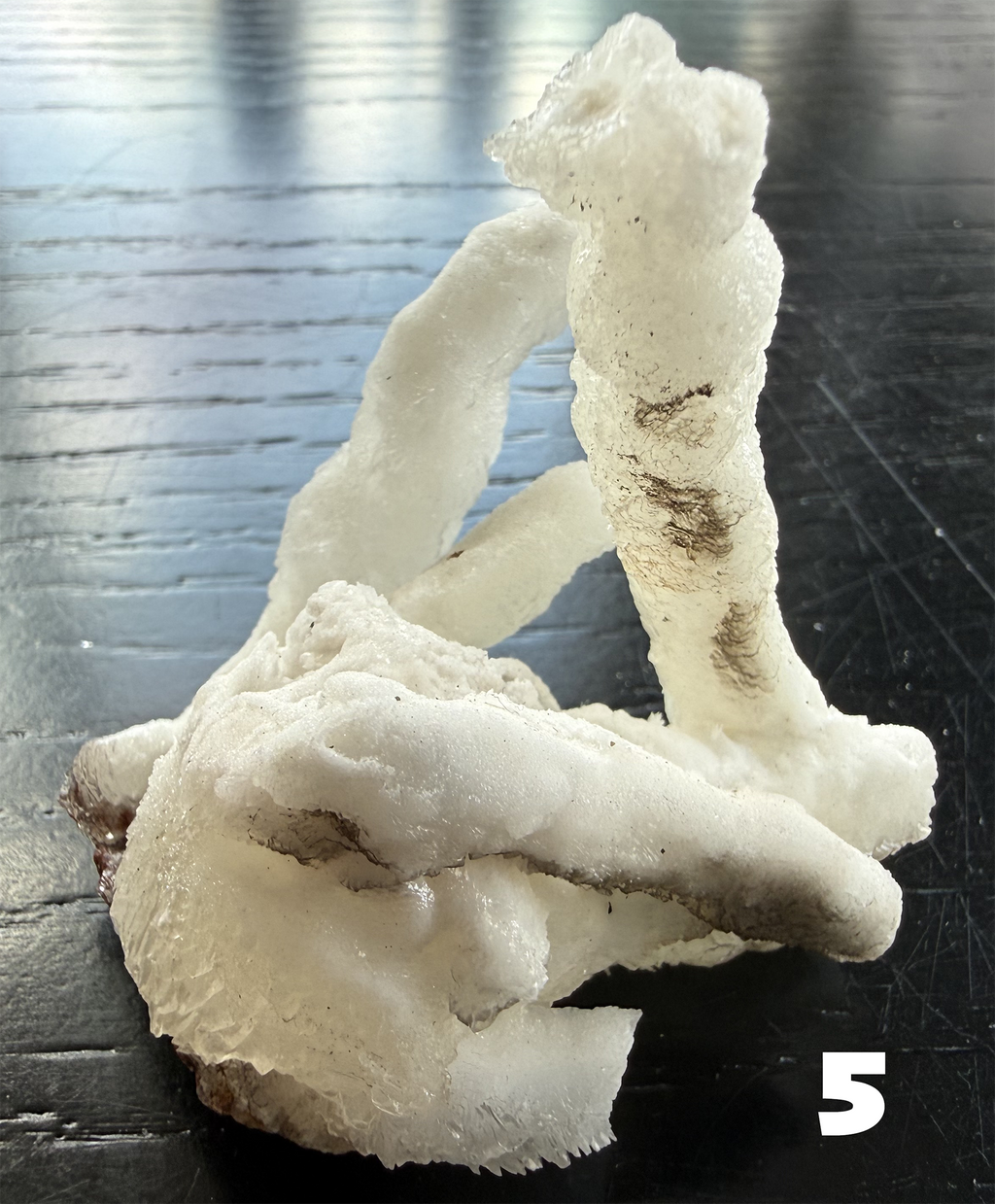 Flos Ferri Aragonite (calcite) from Santa Eulalia District (Chihuahua, Mexico)