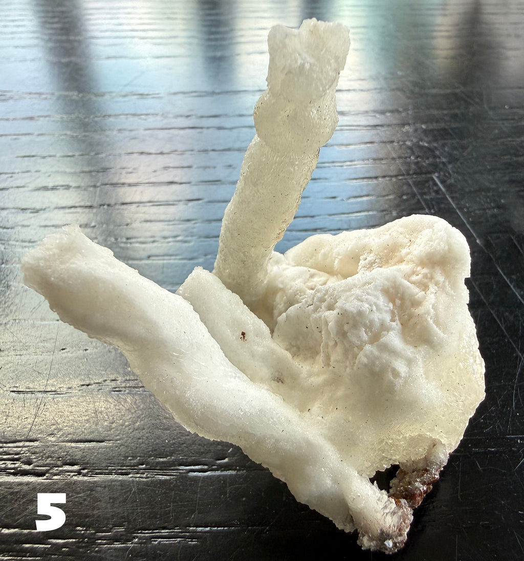 Flos Ferri Aragonite (calcite) from Santa Eulalia District (Chihuahua, Mexico)