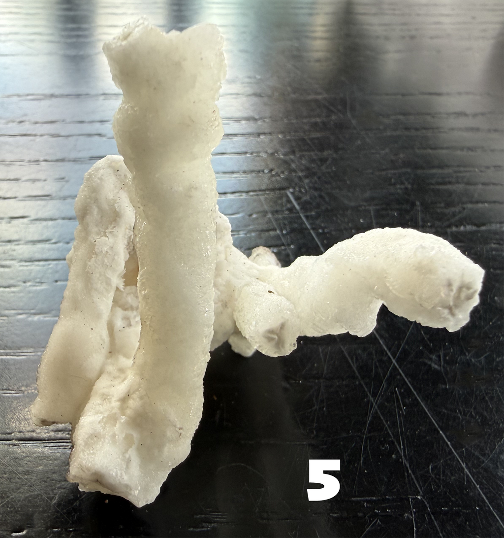 Flos Ferri Aragonite (calcite) from Santa Eulalia District (Chihuahua, Mexico)