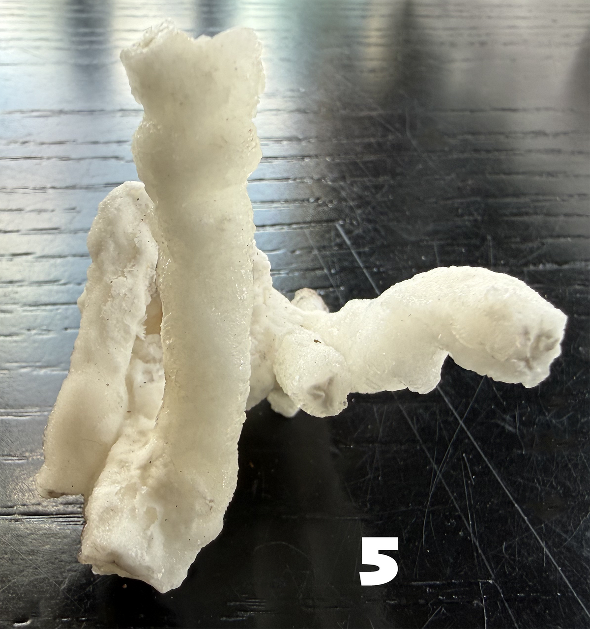 Flos Ferri Aragonite (calcite) from Santa Eulalia District (Chihuahua, Mexico)