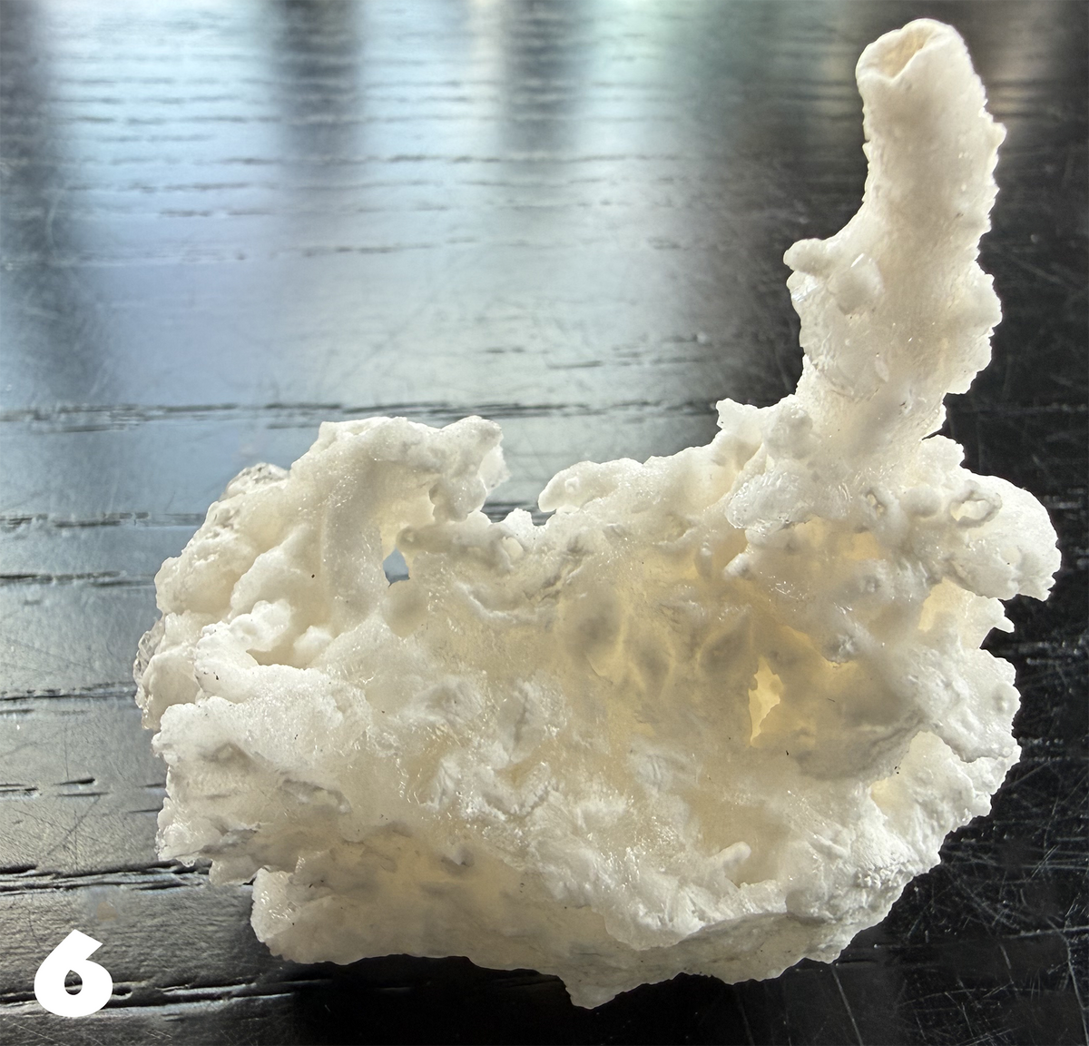 Flos Ferri Aragonite (calcite) from Santa Eulalia District (Chihuahua, Mexico)