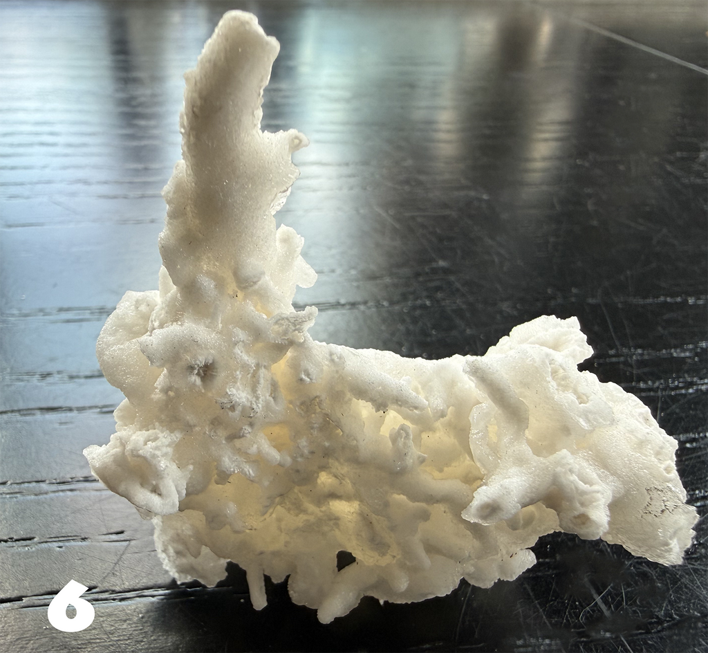 Flos Ferri Aragonite (calcite) from Santa Eulalia District (Chihuahua, Mexico)