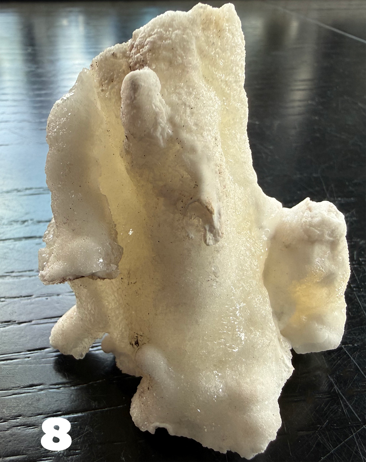 Flos Ferri Aragonite (calcite) from Santa Eulalia District (Chihuahua, Mexico)