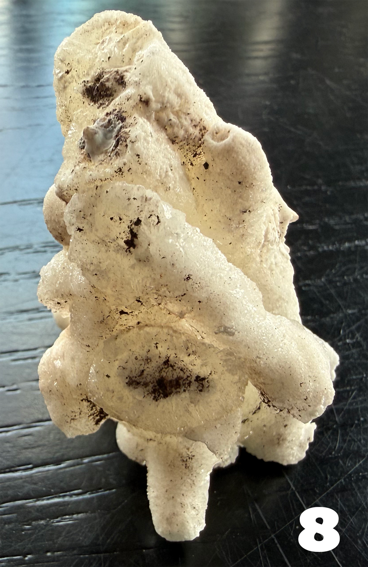 Flos Ferri Aragonite (calcite) from Santa Eulalia District (Chihuahua, Mexico)
