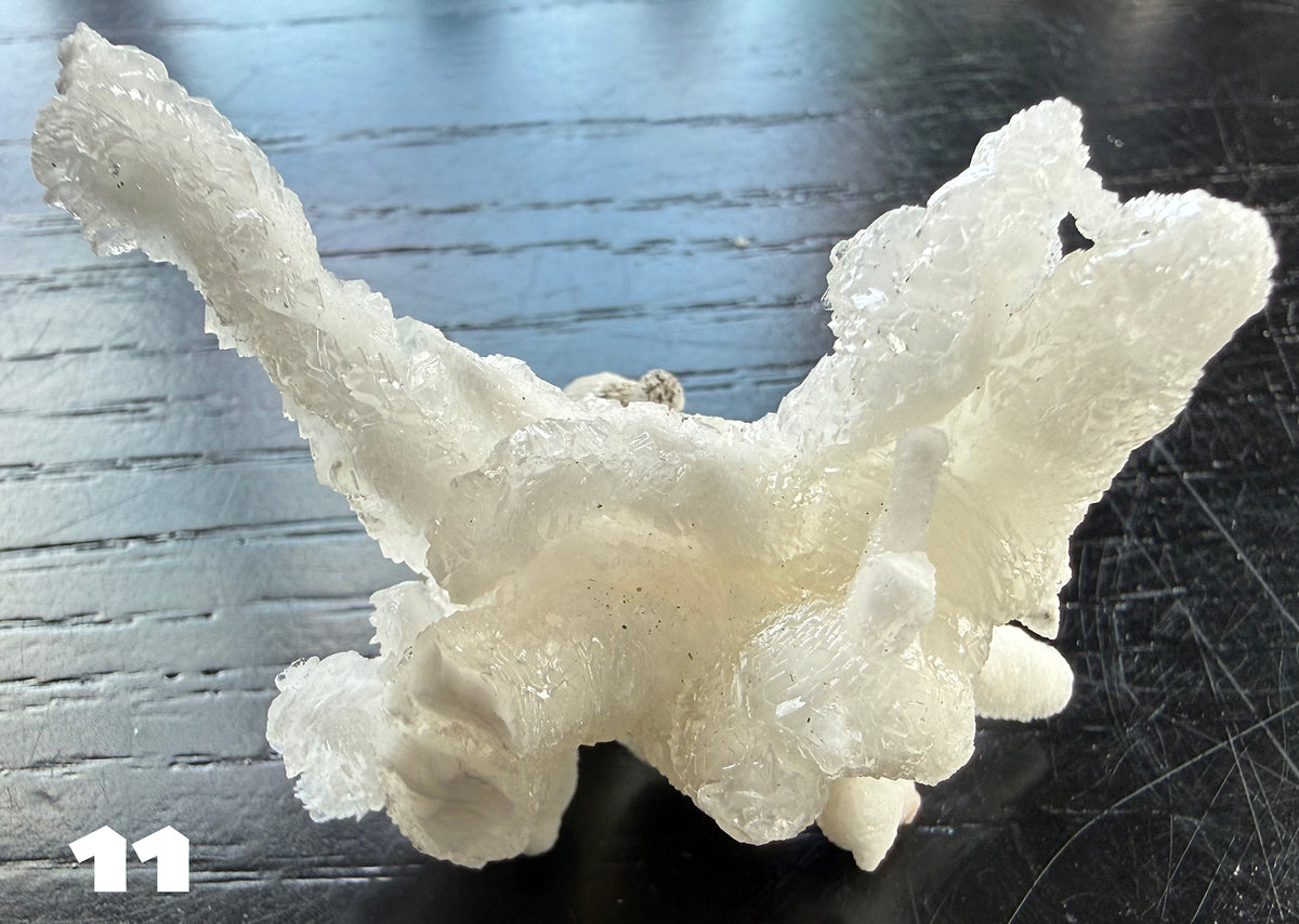 Flos Ferri Aragonite (calcite) from Santa Eulalia District (Chihuahua, Mexico)