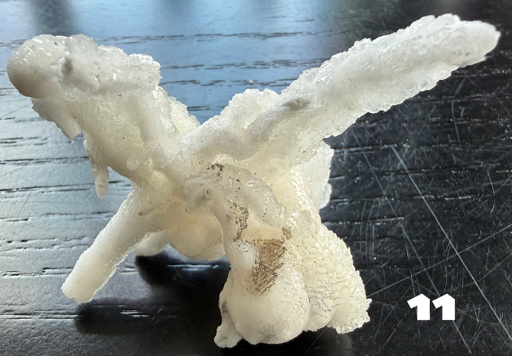 Flos Ferri Aragonite (calcite) from Santa Eulalia District (Chihuahua, Mexico)