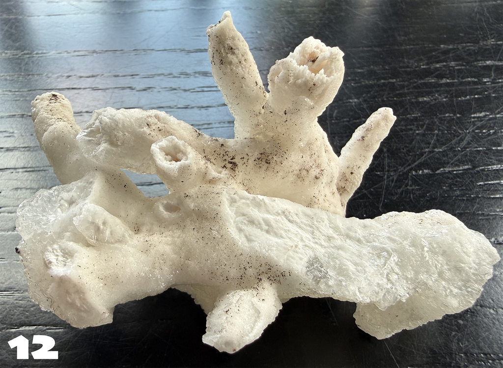 Flos Ferri Aragonite (calcite) from Santa Eulalia District (Chihuahua, Mexico)