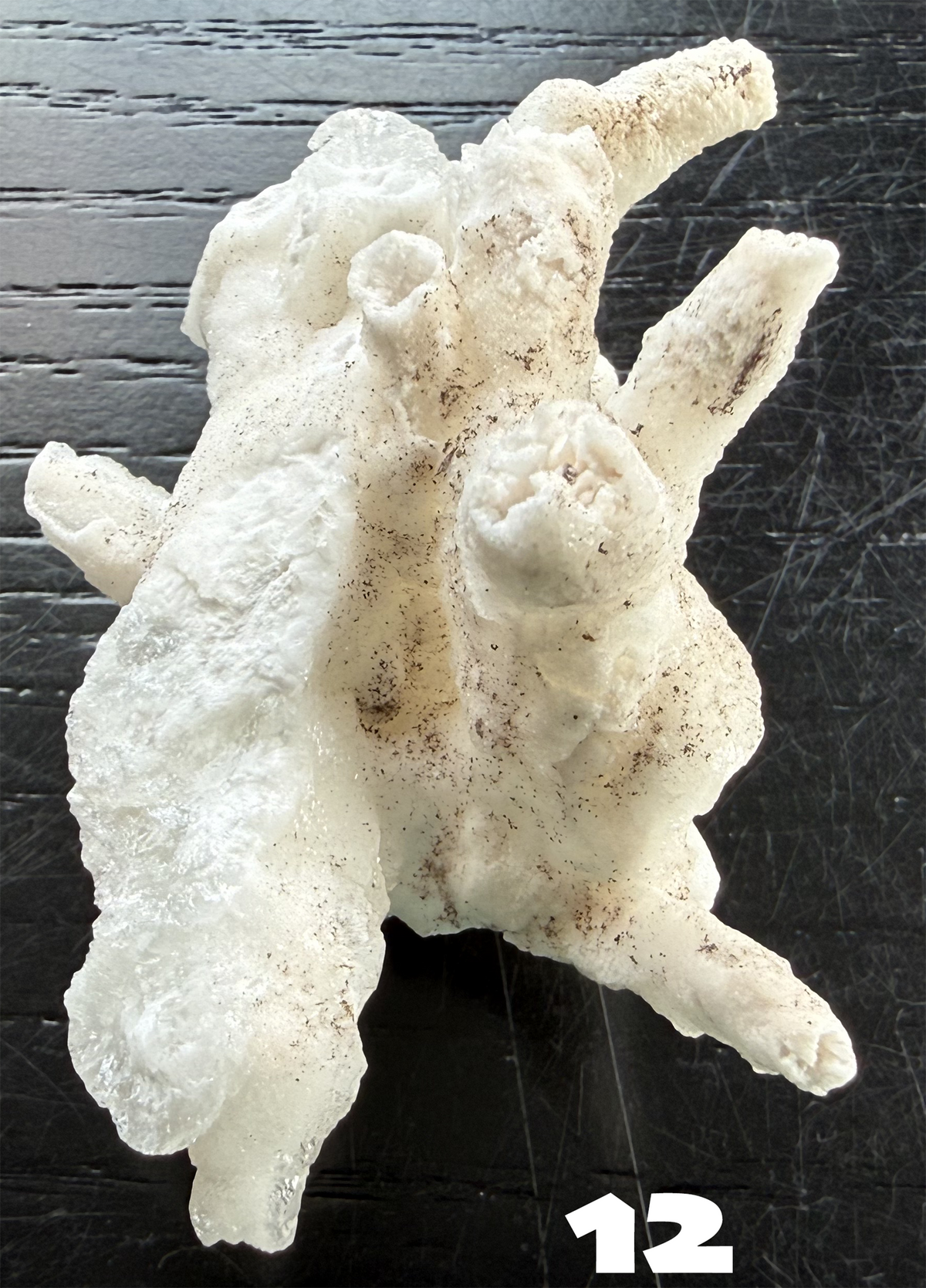 Flos Ferri Aragonite (calcite) from Santa Eulalia District (Chihuahua, Mexico)