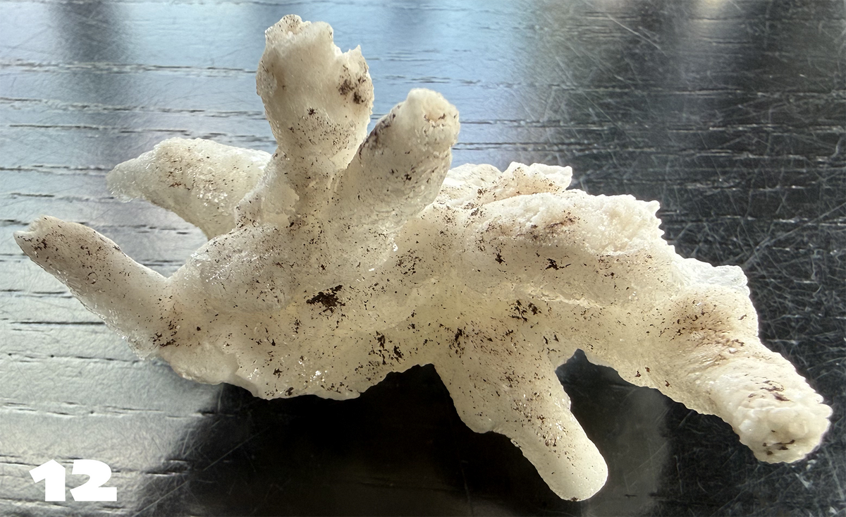 Flos Ferri Aragonite (calcite) from Santa Eulalia District (Chihuahua, Mexico)