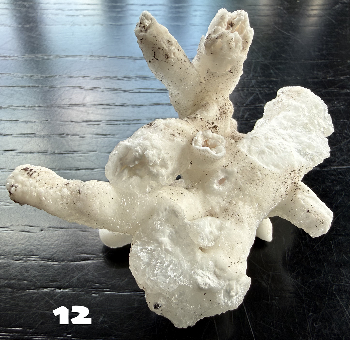 Flos Ferri Aragonite (calcite) from Santa Eulalia District (Chihuahua, Mexico)