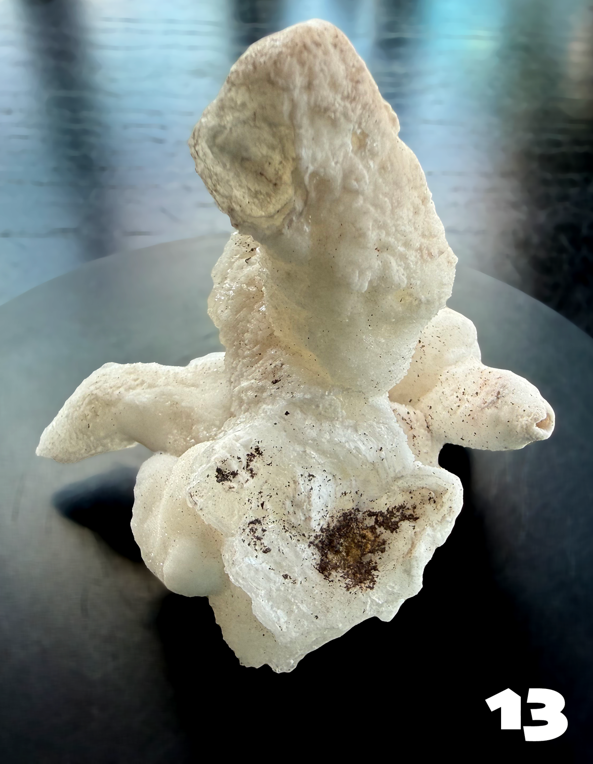 Flos Ferri Aragonite (calcite) from Santa Eulalia District (Chihuahua, Mexico)