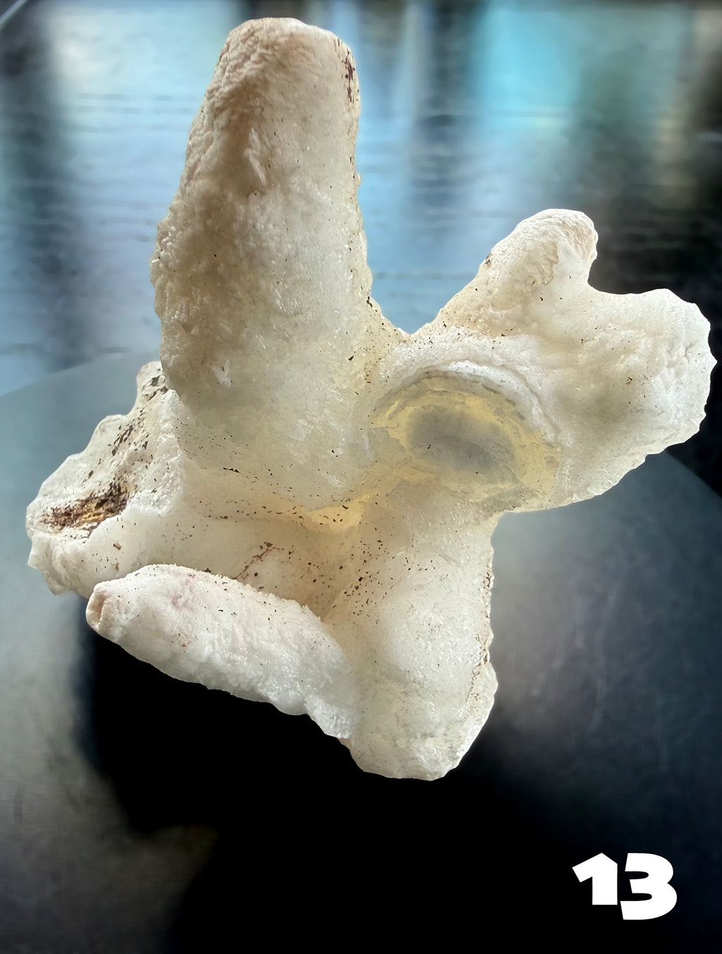 Flos Ferri Aragonite (calcite) from Santa Eulalia District (Chihuahua, Mexico)
