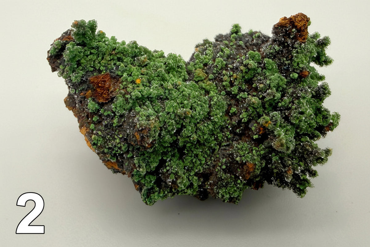 Conichalcite Minerals