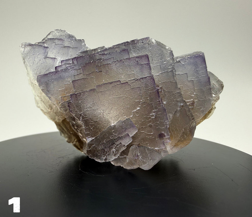 Fluorite - Purple Fluorite  specimens