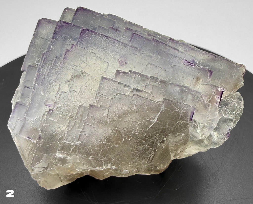 Fluorite - Purple Fluorite  specimens