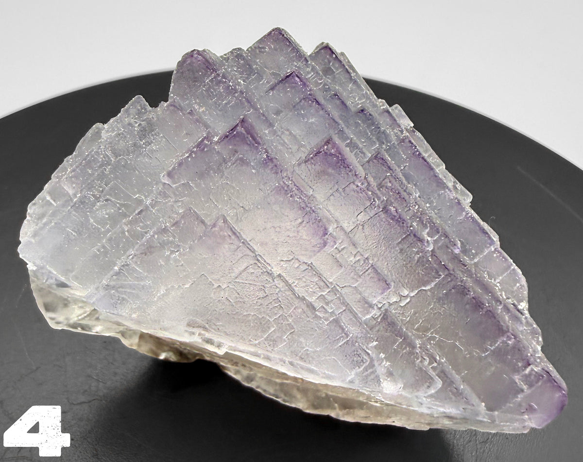 Fluorite - Purple Fluorite  specimens