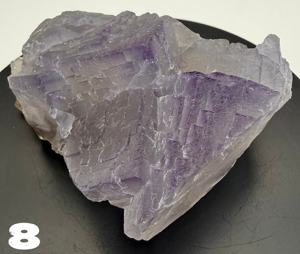 Fluorite - Purple Fluorite  specimens