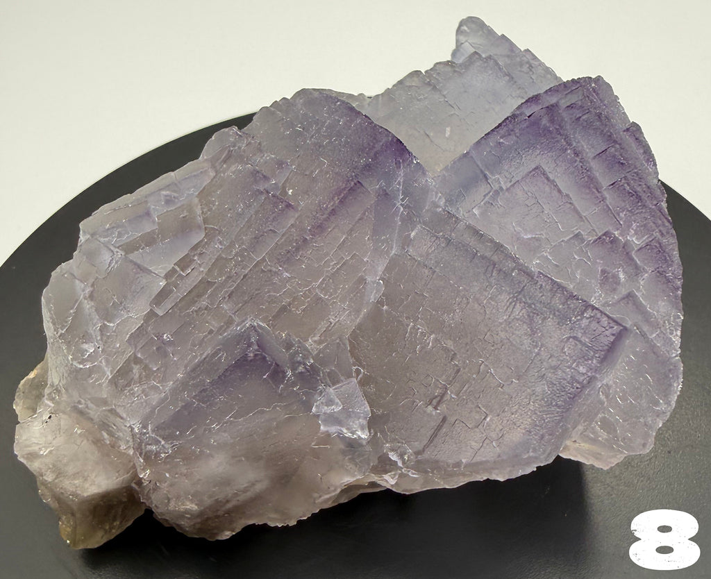 Fluorite - Purple Fluorite  specimens