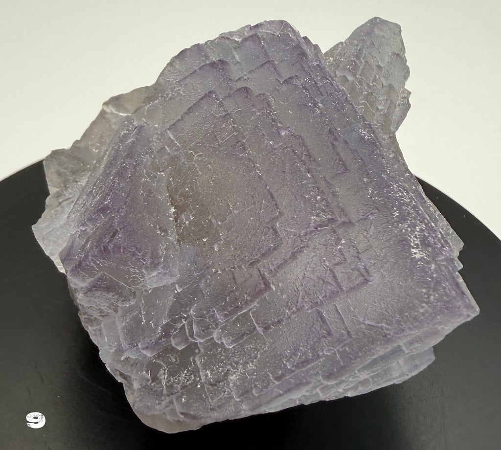 Fluorite - Purple Fluorite  specimens