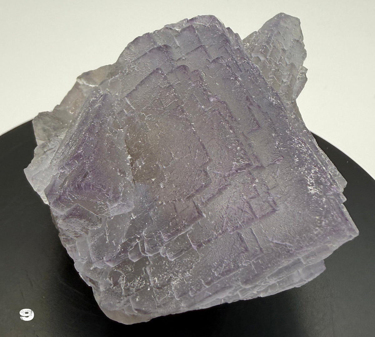 Fluorite - Purple Fluorite  specimens