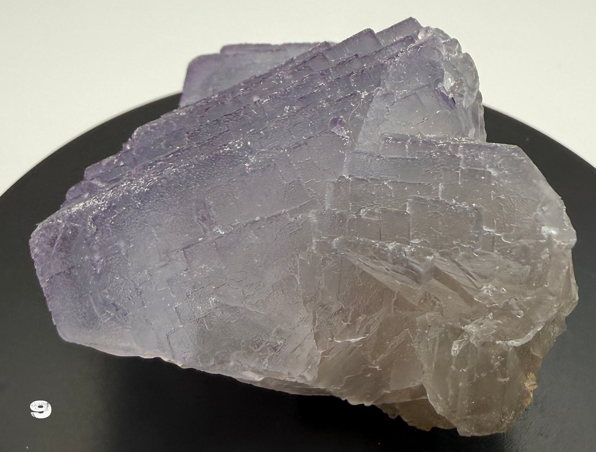 Fluorite - Purple Fluorite  specimens