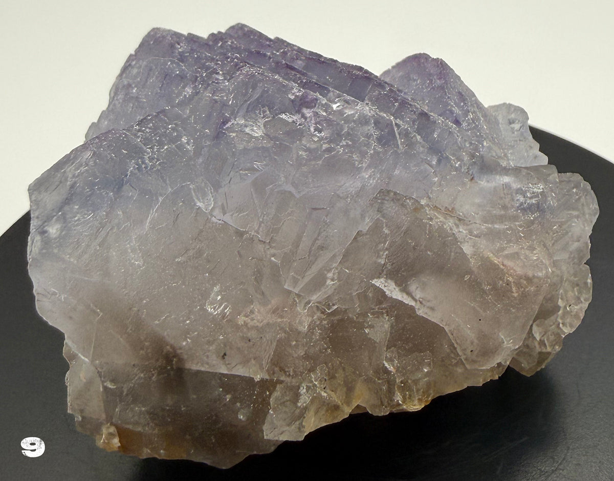 Fluorite - Purple Fluorite  specimens