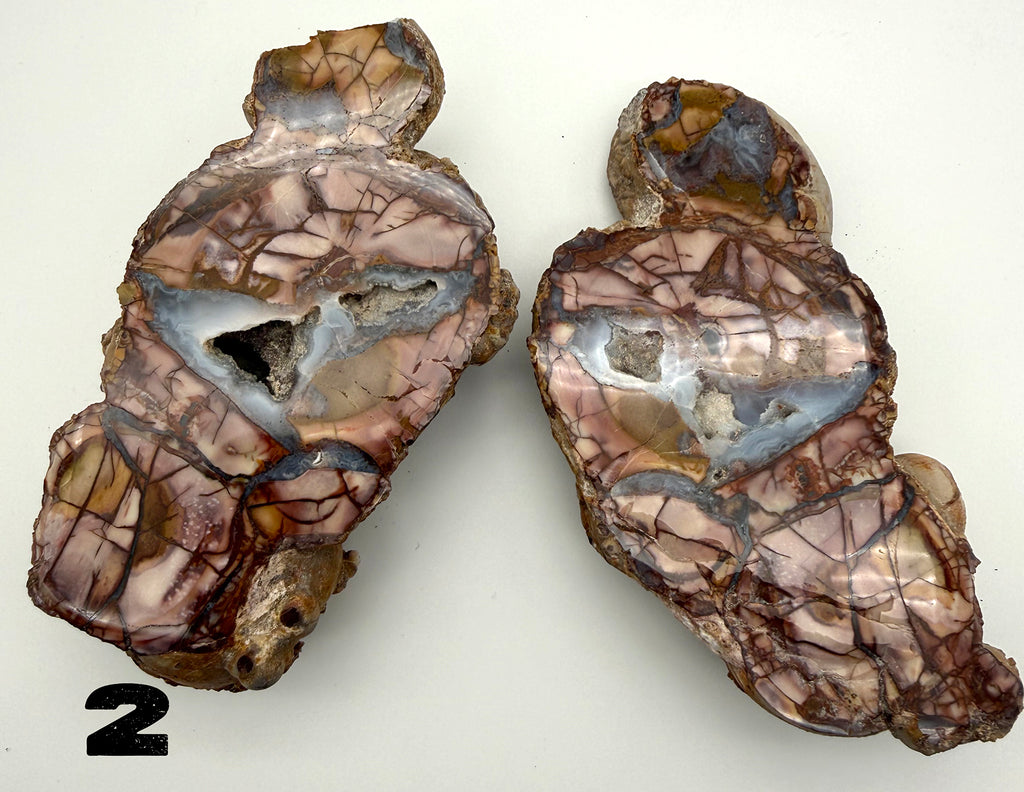 Thunder Eggs (Lithophysa) Split and Polished Pairs ALL Fluoresce