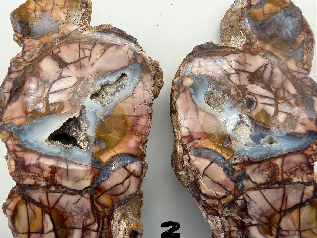 Thunder Eggs (Lithophysa) Split and Polished Pairs ALL Fluoresce