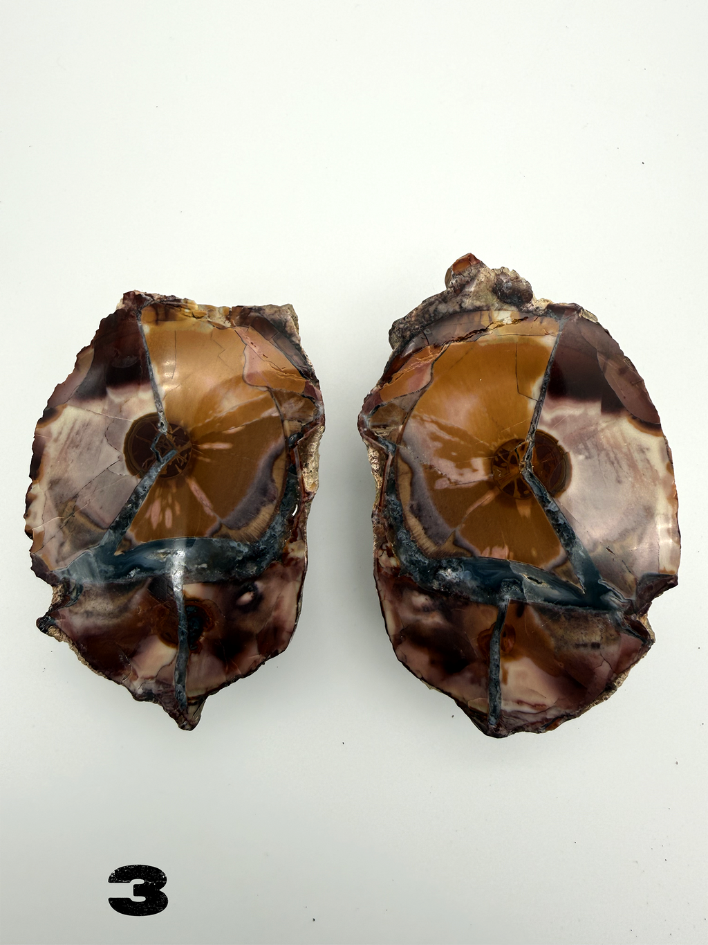 Thunder Eggs (Lithophysa) Split and Polished Pairs ALL Fluoresce