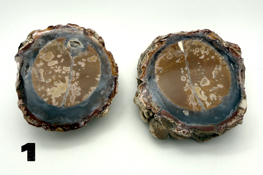 Thunder Eggs (Lithophysa) Split and Polished Pairs ALL Fluoresce