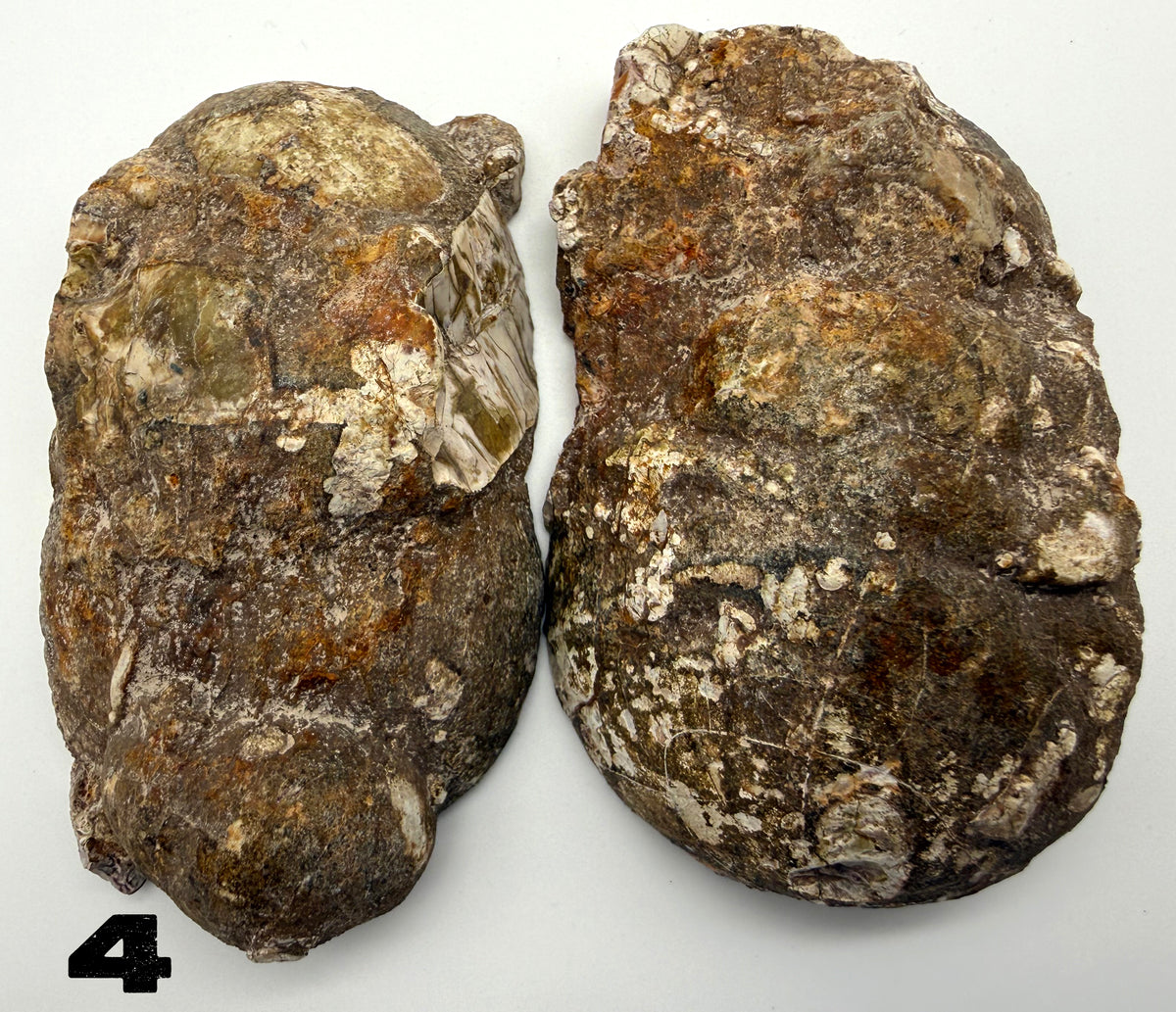 Thunder Eggs (Lithophysa) Split and Polished Pairs ALL Fluoresce
