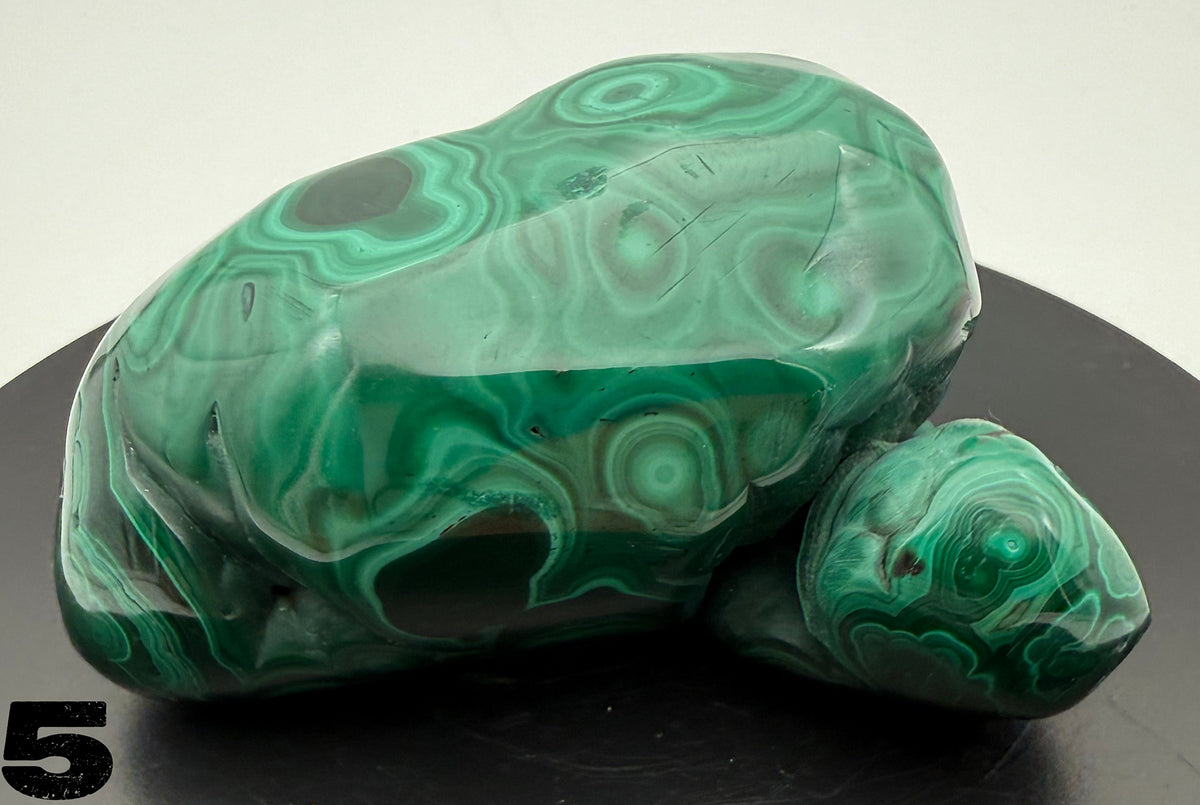 Malachite (polished) from the Democratic Republic of Congo