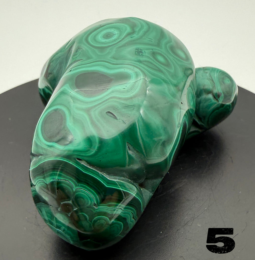 Malachite (polished) from the Democratic Republic of Congo