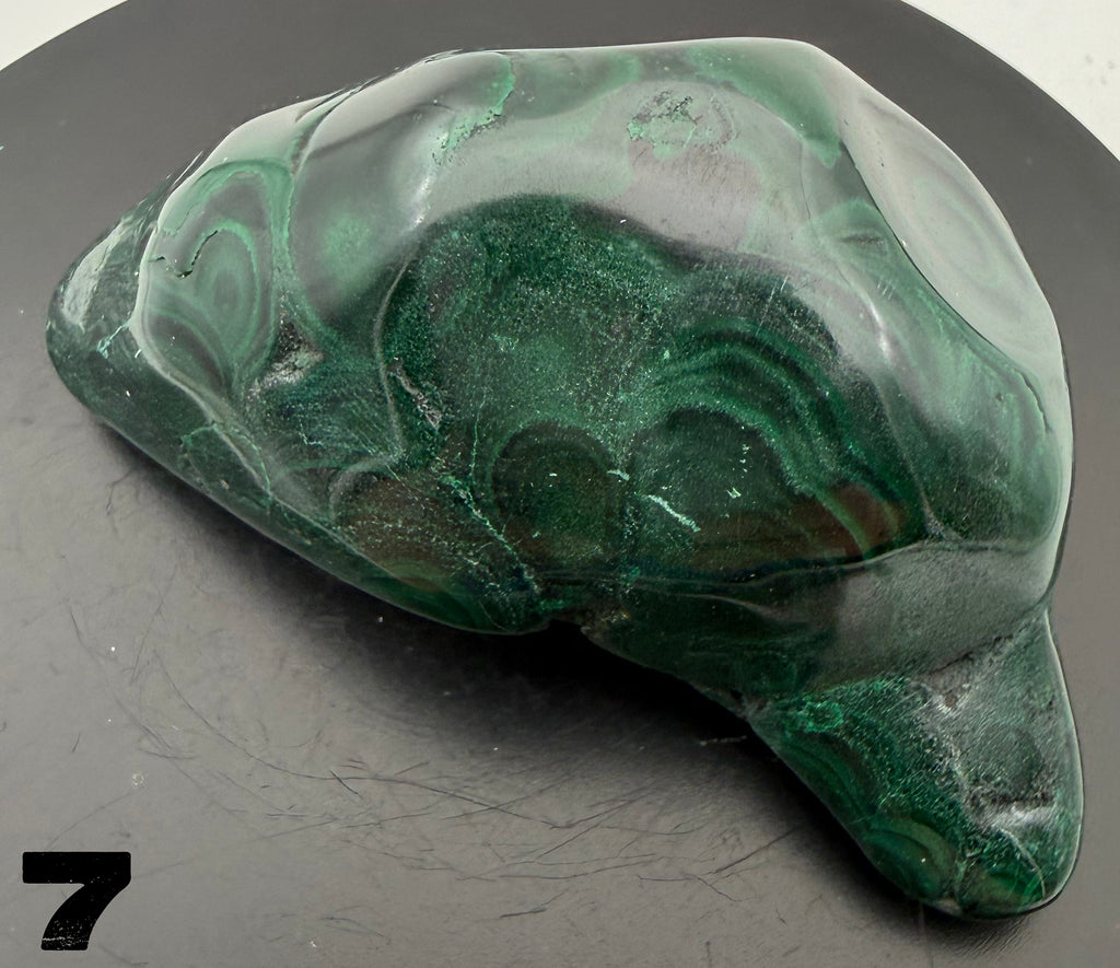 Malachite (polished) from the Democratic Republic of Congo