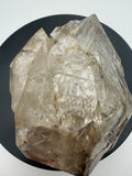 Herkimer Diamond, from Fonda Mountain, New York 268g H1-09242026